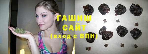 индика Аркадак