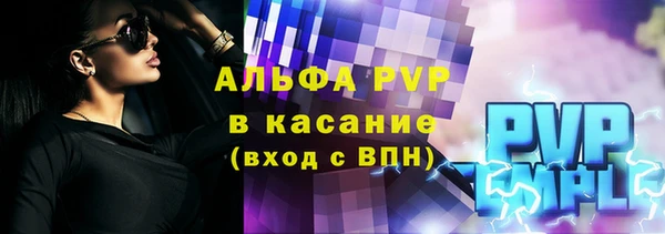 индика Аркадак