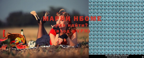 индика Аркадак