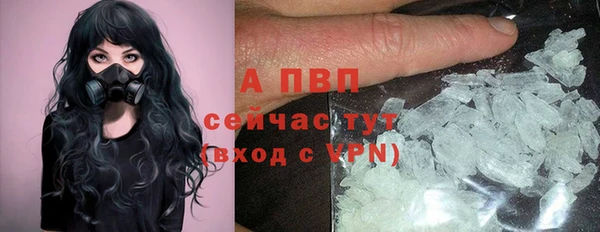 индика Аркадак