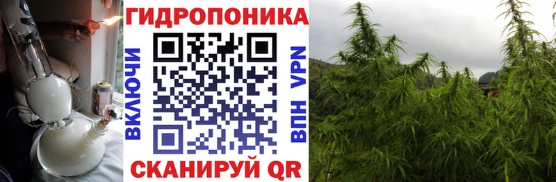 Каннабис семена  Темников 